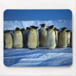 Emperor penguins by moonlight mouse pad
