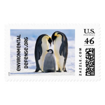 Emperor Penguins, Environmental Defense Postage postage