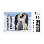 Emperor Penguins, Environmental Defense Postage