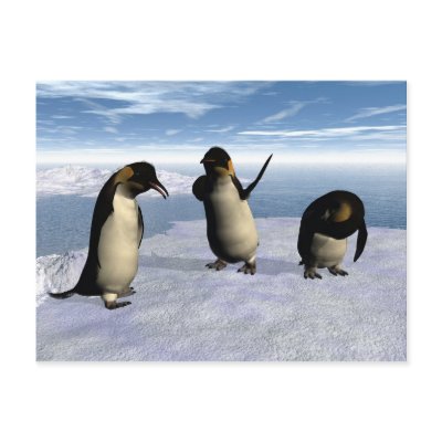 Emperor Penguins Post Card