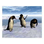 Penguins Poster