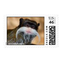 Emperor tamarin postage