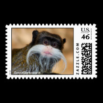 Emperor tamarin stamps