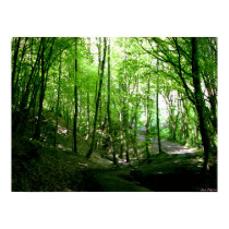 Emphasis of Light-Green Trees posters