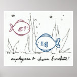 Emphysema & Chronic Bronchitis print