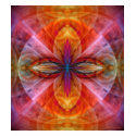 Empire of the Sun Flower t-shirts