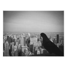 Empire State Bird, photo print