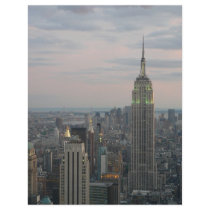 Empire State Twilight Flyers