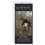 Employee Inspects Browse Survey Rack Card