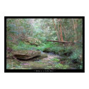Empty Creek Bed posters