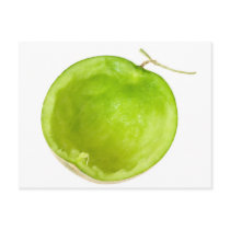 Empty musk melon postcard