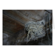 Empty Nest Cards