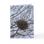 Empty Nest Greeting Card