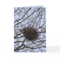 Empty Nest cards