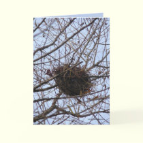 Empty Nest cards by MoiraAshleigh Empty Nest cards