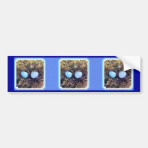Empty Robin Eggs Bumper Sticker