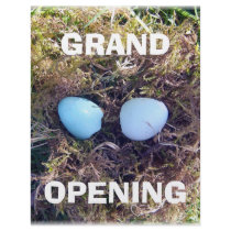 Empty Robin Eggs Flyer