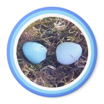 Empty Robin Eggs Magnet by CreatureCreations Empty Robin Eggs Magnet
