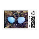 Empty Robin Eggs Stamp