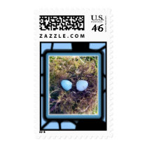 Empty Robin Eggs Stamp