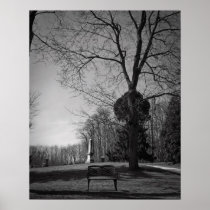 Empty Seat Print