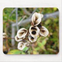 Empty Seed Capsules mousepads