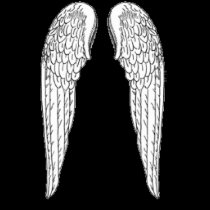emptywings t-shirts