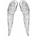 emptywings tee shirts