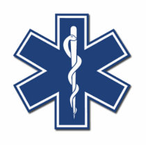 EMS Star of Life photo sculptures