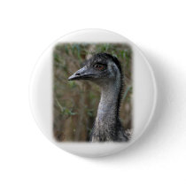Emu 9Y209D-200 buttons by TraffordPhotos Emu 9Y209D-200 buttons