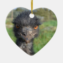 Emu Bird Ornament