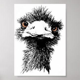 Emu (From $10.55) print