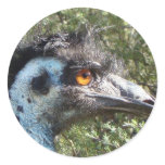 Emu in Australia Round Sticker