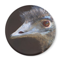 Emu Refrigerator Magnets