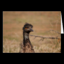 Emu Often EMU-lated Never Equaled card cards