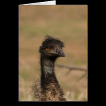 Emu Often EMU-lated Never Equaled card vertical cards