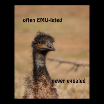 Emu Often EMU-lated Never Equaled Poster posters