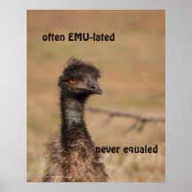 Emu Often EMU-lated Never Equaled Poster