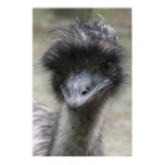 Emu