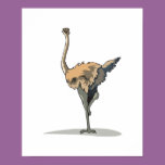 emu