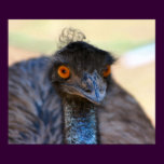 Emu