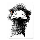 Emu print