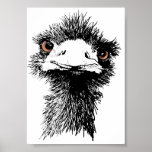 Emu Poster