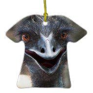Emu saying HI! Open beak big brown eyes picture ornament