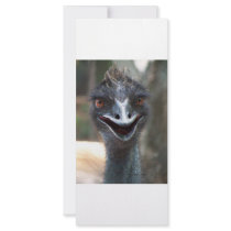 Emu saying HI! Open beak big brown eyes picture Personalized Rack Card