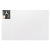 Emu saying HI! Open beak big brown eyes picture Stationery