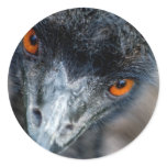 Emu watching round stickers