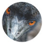 Emu watching round stickers