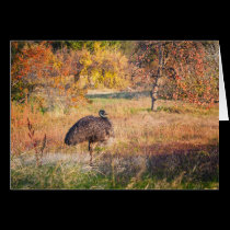 Emu with Persimmons card cards
