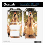En el Thames de James Tissot Skins Para Samsung Rant